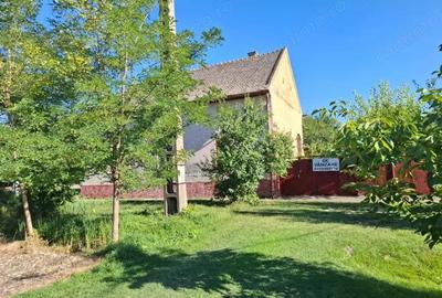 Casă cu 4 camere cu Teren 839 Mp în Nădlac - 6