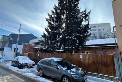 Teren în Baicului - 9