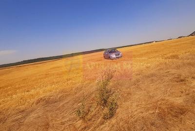 Teren pentru casa/case in Branesti pe strada Toporasi - 18