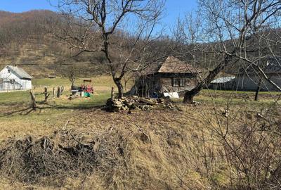 Casă cu 2 camere în Măgoaja - 3