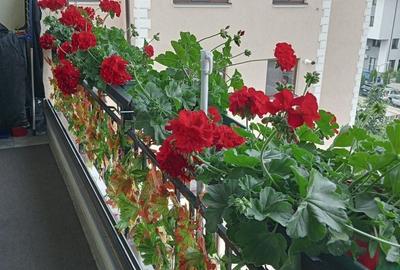 Apartament cu 2 camere semidecomandat în Valea Adâncă - 7