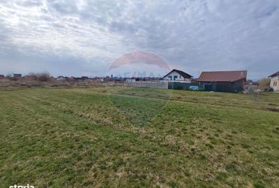 Spațiu comercial, în Șura Mică - 4