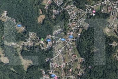 Teren de 5219 mp, în Făget