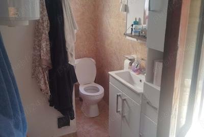 Casă cu 3 camere în Dumbrăvița - 1