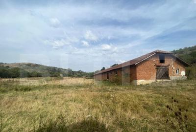 Ferma cu 3000 mp de teren si o constructie de 580 mp - 3