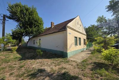 Casa localitatea satchinez - 5