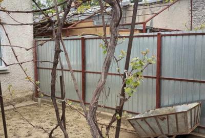 Vand casa curte Braila , zona Pod Brailita - 10