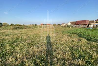 Teren de 400 mp, în Șura Mică - 3