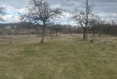 Teren de 4400 mp, în Voila - 10