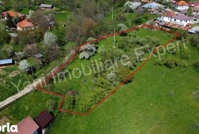 Teren de 2677 mp, în Valea Iașului - 4