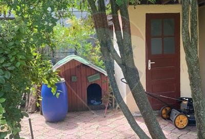 DE VANZARE Vila de vacanta in Pucioasa /Dambovita - 50