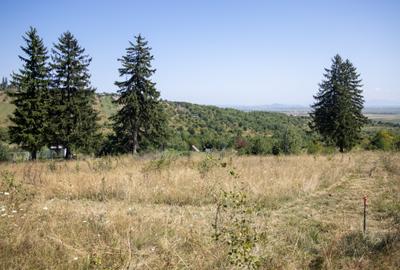 Comision0%Teren 4200 mp Vulcan Brașov – ideal casă de vacanță / turism - 17