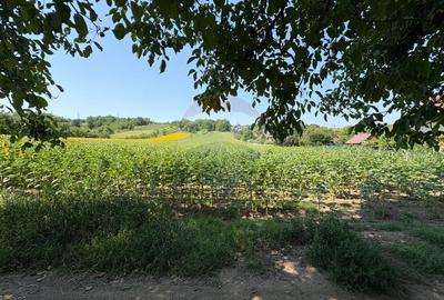 Teren 9,012mp Saucesti / Strada Ciresului - 1