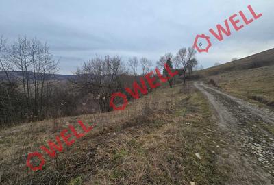 Teren intravilan de 4200 mp, în Sărămaș - 3