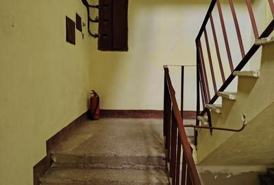 Apartament cu 2 camere decomandat în Remetea Mare - 5