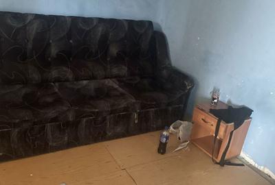 Casă cu 2 camere în Central - 2