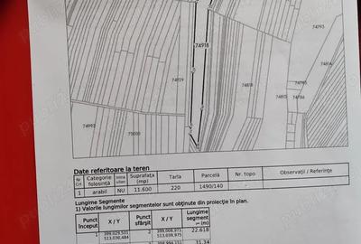 Teren de 11600 mp, în Dumitra - 1
