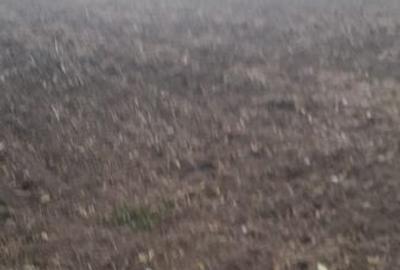 Teren de 3500 mp, în Nicolae Bălcescu - 3