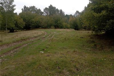 Teren de 16800 mp, în Central - 9