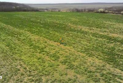 Teren de 182000 mp, în Central - 1