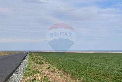 Teren agricol extravilan de 15000 mp, în Corbu