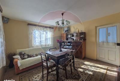 Casă cu 4 camere cu Teren 4700 Mp în Parincea - 10