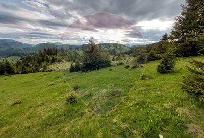 O fereastra catre cer - teren de vis in Fundata, la poalele Bucegilor - 12