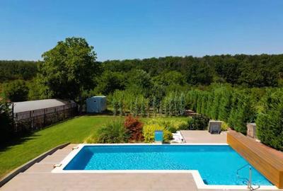 BRANESTI-VILA SUPERBISSIMA,LA LAC,PISCINA,FANTASTICA,UNICAT,700000 EURO - 3