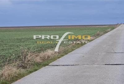 Plaja Corbu-Teren 4200mp. cu deschidere la Soseaua asfaltata - 7