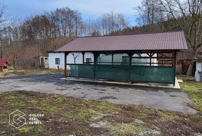 Casa de vacanta, teren 2500 mp, sat. Casoaia - 6