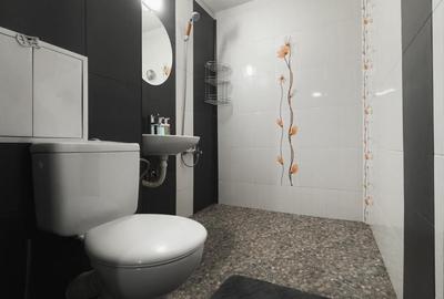 Apartament cu 2 camere de inchiriat zona Pacii - 3