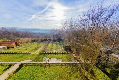 VILA DE VIS CU TEREN GENEROS, DE VANZARE - 46