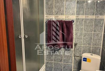 Apartament cu 2 camere nedecomandat, mobilat în Dacia - 9