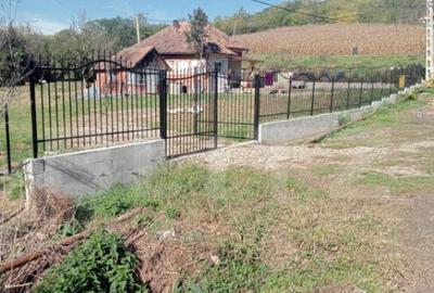 Casa spatioasa in Sanmihaiu de Campie - 9