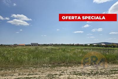 Teren intravilan | Dublu Front | 750mp | Cheriu - 1