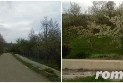 Teren extravilan livada cota parte 1/2 Candesti ID: R1965236 - 1