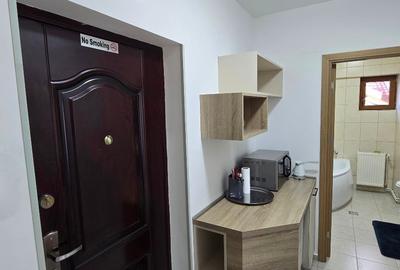 Studio de lux  Sinaia Furnica - 3