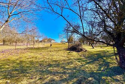 Casă individuală cu 4 camere cu Teren 2576 Mp în Nord-Vest - 19