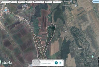 Teren de 24200 mp, în Muntenii de Jos - 6