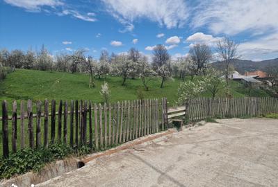 Teren de 3500 mp, în Ghioșești - 5