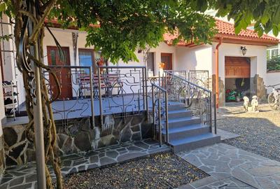 Zona I.Maniu, casa S+P+M - 2