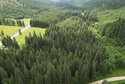 Teren extravilan 5000 MP Comandau - 10