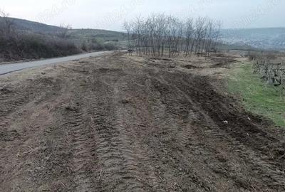 Teren de 5000 mp, în Central - 8