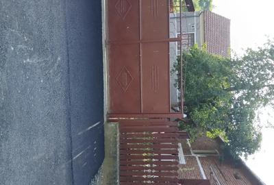 Casă cu 4 camere în Nicolae Bălcescu - 7