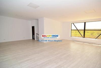 Hala 590 mp Chitila Rudeni- centura - 6