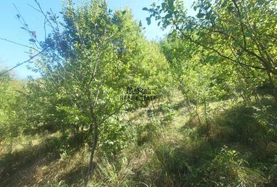 Teren de 56031 mp, în Criș - 5
