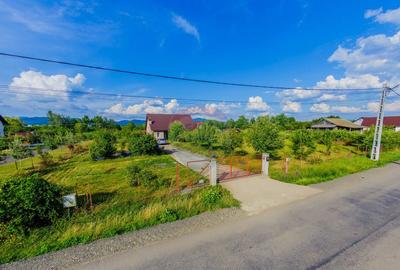 Casă cu 4 camere cu Piscina în Bozânta Mare - 13