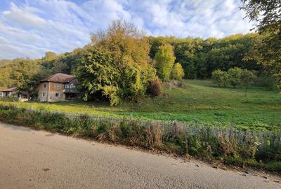 Casă cu 4 camere cu Teren 7000 Mp în Almașu Mare - 5