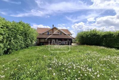 Duplex Zona Linistita Carpinis - 2