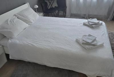 Garsonieră nedecomandată în Buziașului - 7